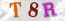 Güvenlik Resmi